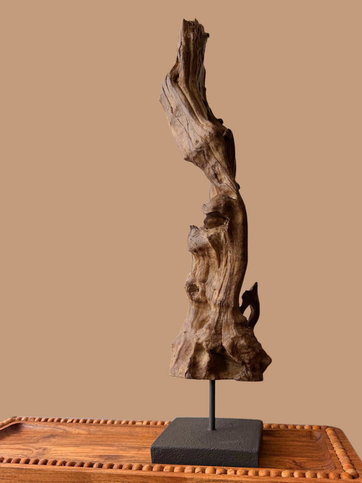Organic Form Sculpture
