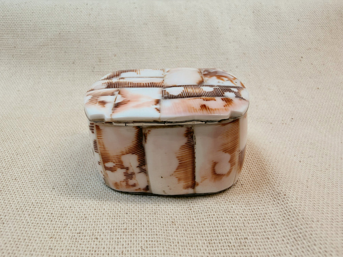 Abalone + Nautilus Pill Box