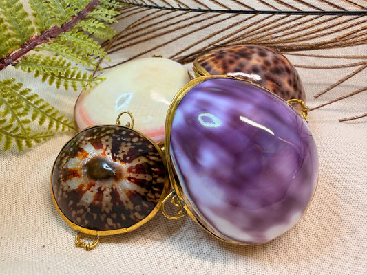 Seashell Clasp Keepsakes