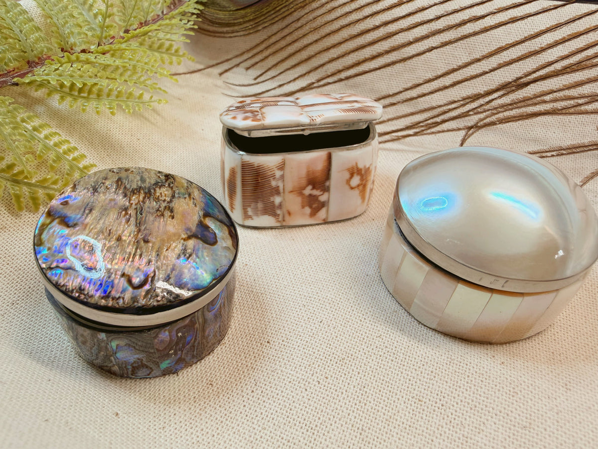 Abalone + Nautilus Pill Box