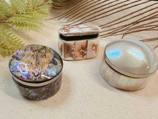 Abalone + Nautilus Pill Box