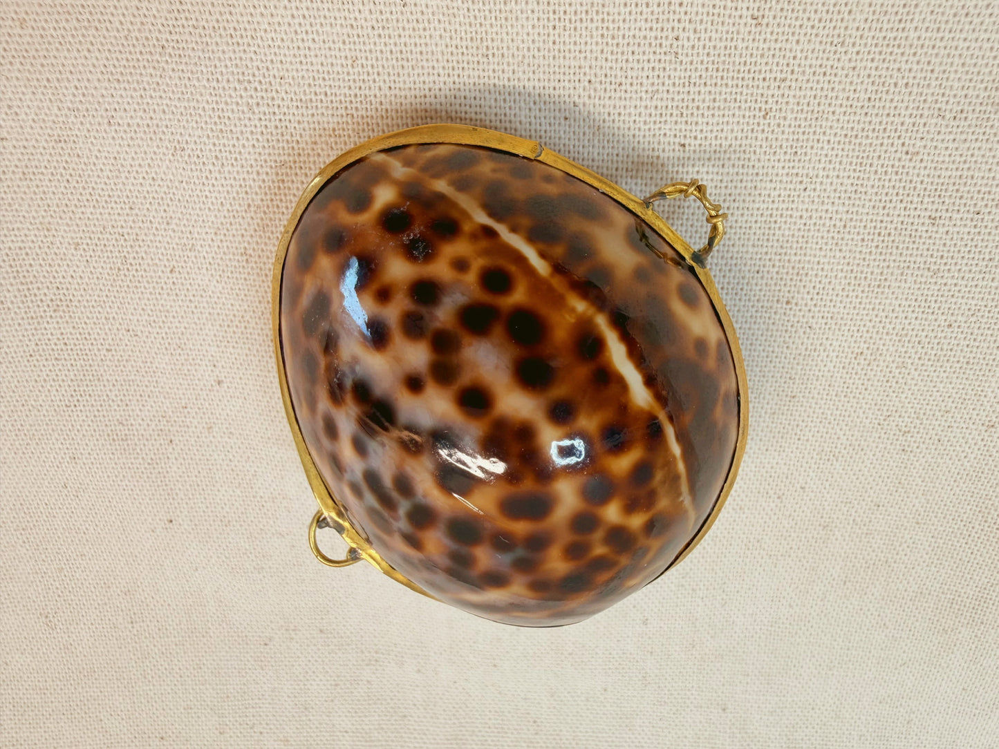 Seashell Clasp Keepsakes