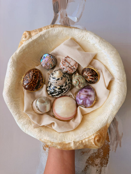 Seashell Clasp Keepsakes