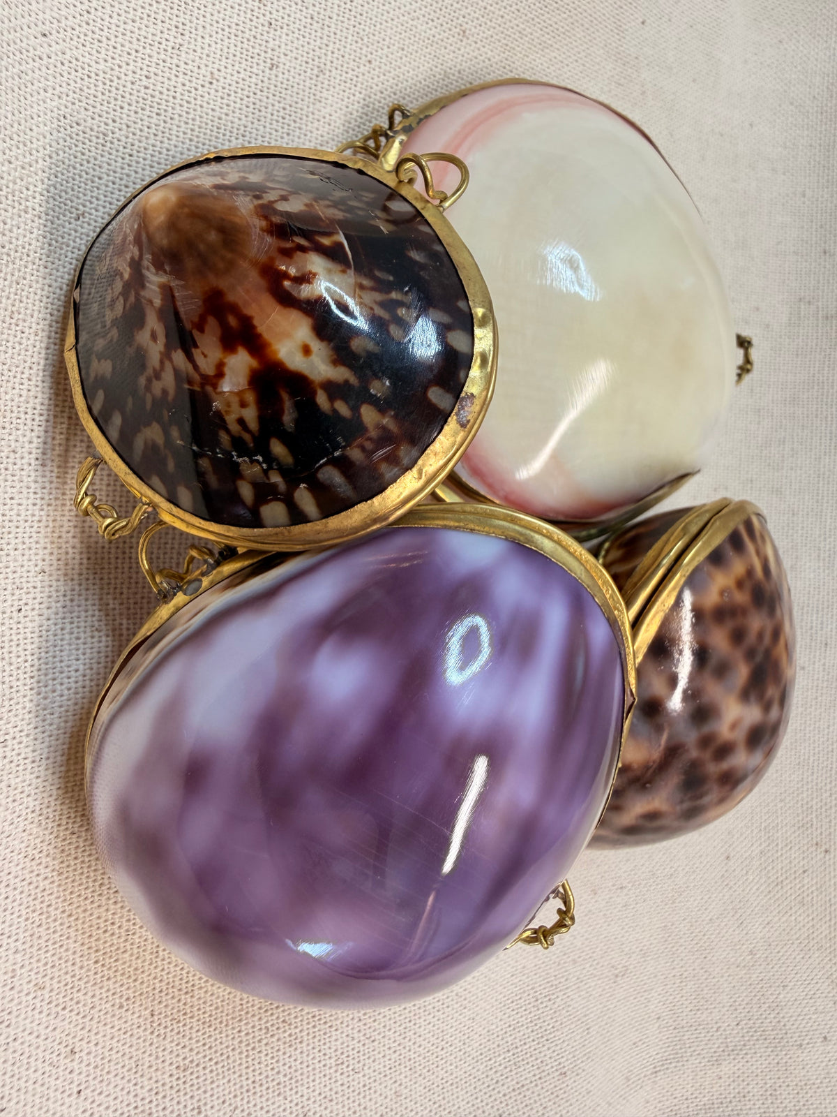 Seashell Clasp Keepsakes